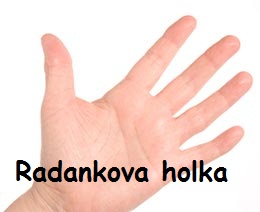 Obrázek