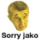 Sorry jako