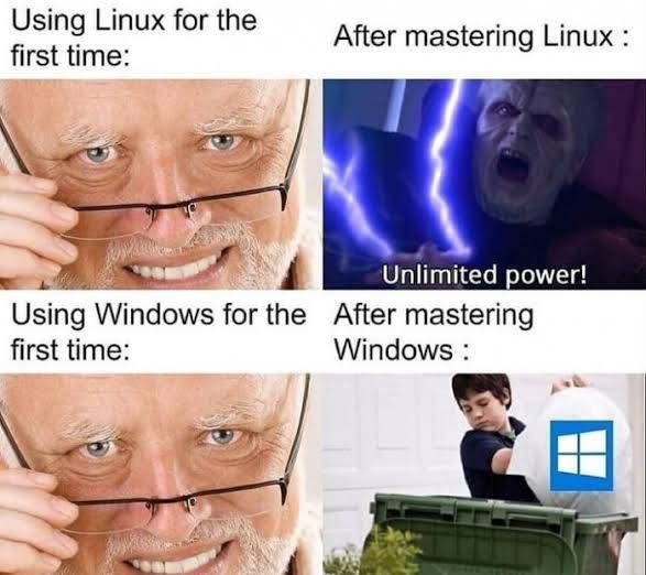 [Image: windows.jpg]